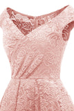 Blush Vintage Pizzo Vestito da festa