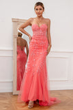 Coral Applique Tulle Prom Abito