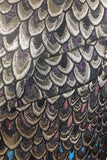 Blazer da uomo con risvolto a scialle jacquard dorato