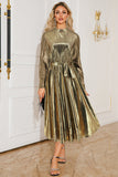 Argento A Line plissettato lungo Prom Dress con maniche lunghe