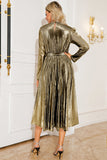 Argento A Line plissettato lungo Prom Dress con maniche lunghe