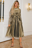 Argento A Line plissettato lungo Prom Dress con maniche lunghe