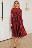 Argento A Line plissettato lungo Prom Dress con maniche lunghe
