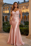 Corsetto a ossa trasparente in forma di sirena rosa spalline Corsetto abito da cerimonia lungo in raso plus size
