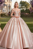 Off The Shoulder Blush Maniche Lunghe Ball Gown Quinceanera Dress