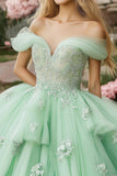 Principessa Menta Ball Gown Off la Spalla Increspature Tulle Quinceanera Dress con Applique in pizzo