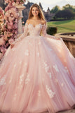Principessa Rosa Ball Gown Off the Shoulder Maniche lunghe Tulle Quinceanera Dress con applicazioni in pizzo