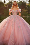 Rosa Off The Shoulder Ball Gown Appliqued Quinceanera Dress