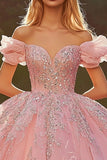 Rosa Off The Shoulder Ball Gown Appliqued Quinceanera Dress