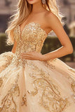 Champagne senza spalline applicato tulle Quinceanera Dress