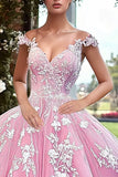 Off The Shoulder Sparkly Pink Quinceanera Dress con fiori 3D