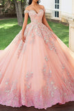 Blush applicato Off The Shoulder Quinceanera Dress