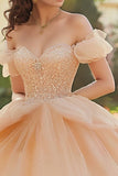 Champagne Off The Shoulder Tulle Pizzo Appliqued Quinceanera Dress