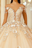 Champagne Off The Spalla Pizzo Appliqued Quinceanera Dress