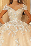 Champagne Ball Gown Organza Appliqued Quinceanera Dress con maniche ad aletta