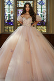 Rosa Off The Shoulder Ball Gown Appliqued Tulle Quinceanera Dress