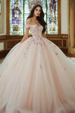 Abito da ballo rosa Off The Shoulder Tulle Appliqued Quinceanera Dress