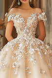 Champagne Ball Gown Off La Spalla Appliqued Tulle Quinceanera Dress