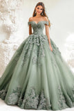 Dusty Sage Ball Gown Off The Spalla Tulle Appliqued Quinceanera Dress