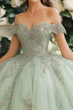 Dusty Sage Off The Spalla Pizzo Appliqued Tulle Quinceanera Dress