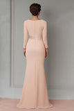 Blush Pizzo Guaina Madre Del Vestito Da Sposa Con Maniche Lunghe