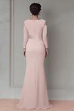 Blush Pizzo Guaina Madre Del Vestito Da Sposa Con Maniche Lunghe