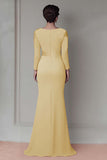Blush Pizzo Guaina Madre Del Vestito Da Sposa Con Maniche Lunghe