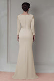 Blush Pizzo Guaina Madre Del Vestito Da Sposa Con Maniche Lunghe