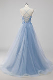 Rosa A-Line Spaghetti Straps Tulle Abito lungo da ballo con applicazioni di paillettes