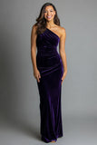 Plum One Shoulder Guaina Velluto Abito Lungo Formale