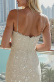 Abito da sposa bodycon con spalline avorio sparsicato con paillettes