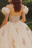 Principessa Blush Ball Gown Off la spalla tulle Quinceanera Dress con applique