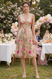 Abito midi floreale ricamato a V in tulle A-line blush