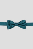 Papillon per feste Aqua Men