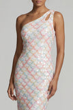 Blush sirena con paillettes a una spalla Abito lungo Madre della Sposa