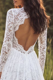 Abito da sposa lungo in pizzo a V pizzo in avorio con maniche lunghe
