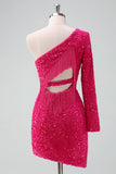 Sparkly Fucsia One Shoulder Sequin Tight Cocktail Dress con frange