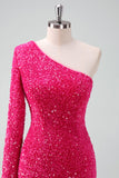 Sparkly Fucsia One Shoulder Sequin Tight Cocktail Dress con frange