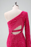 Sparkly Fucsia One Shoulder Sequin Tight Cocktail Dress con frange