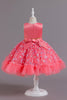 Carica l&#39;immagine nel visualizzatore di Gallery, A Line Jewel Neck Pink Girl Party Dress with Appliques