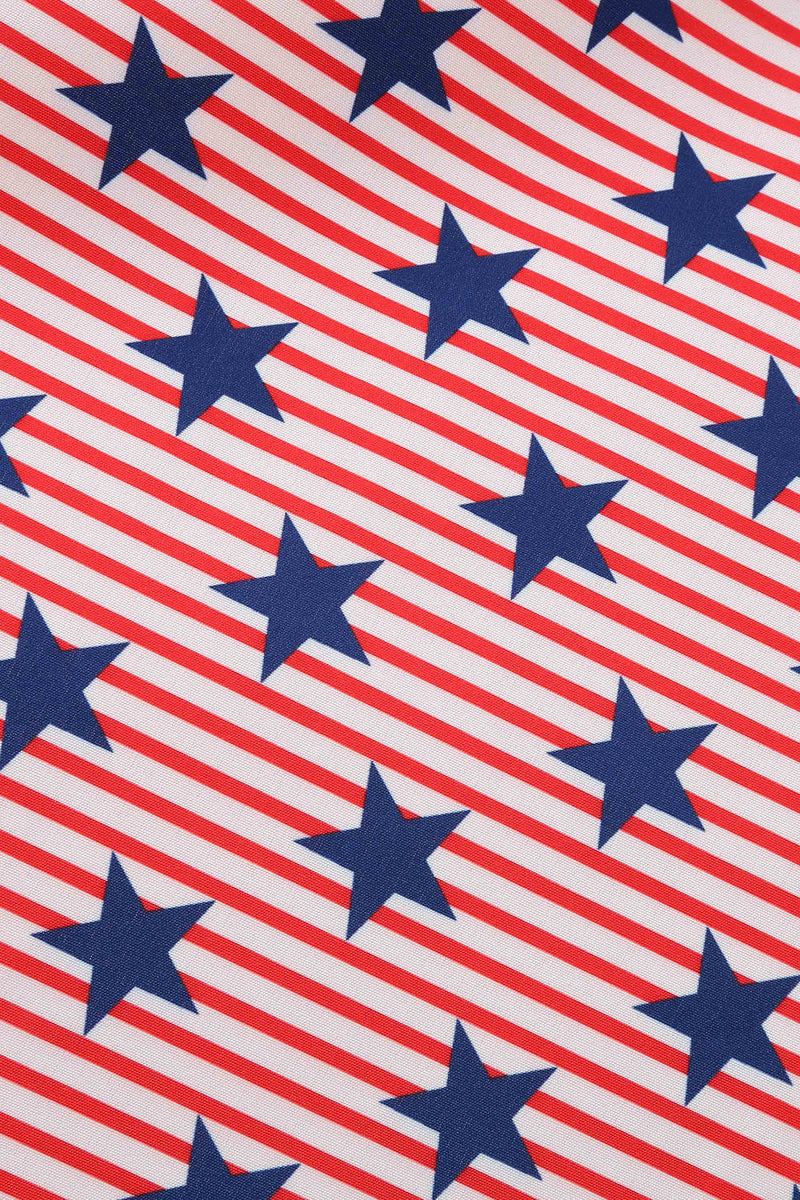Carica l&#39;immagine nel visualizzatore di Gallery, American Flag Stars Stampa Vintage Dress