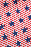 American Flag Stars Stampa Vintage Dress