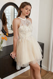 Champagne Perline Halter Tulle Carino Homecoming Dress