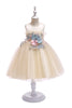 Carica l&#39;immagine nel visualizzatore di Gallery, A Line Jewel Blush Flower Girl Dress con Appliques