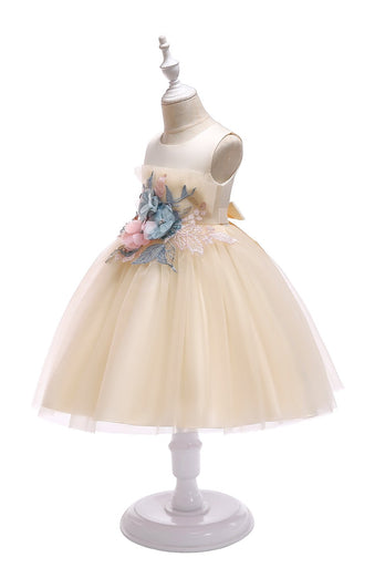 A Line Jewel Blush Flower Girl Dress con Appliques