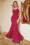 Hot Pink Sequin Mermaid Plus Size Prom Dress con Lac-up Back